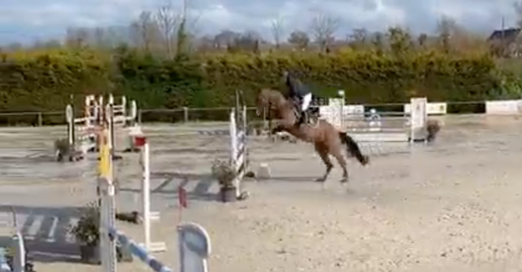 Venus du Reverdy - Auvers Mars 2022